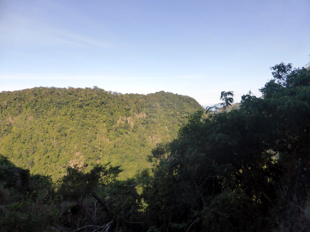 Hills with trees on the other side of the Barron Creek valley, viewed from the Kuranda Scenic Railway train near the Forwards Lookout