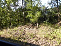 Piece of railway track, viewed from the Kuranda Scenic Railway train near the Forwards Lookout