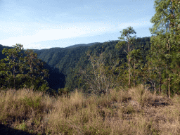 Hills with trees on the other side of the Barron Creek valley, viewed from the Kuranda Scenic Railway train near the Red Bluff rocks