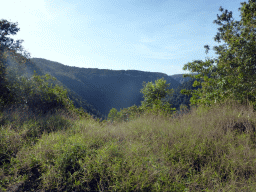 Hills with trees on the other side of the Barron Creek valley, viewed from the Kuranda Scenic Railway train near the Red Bluff rocks