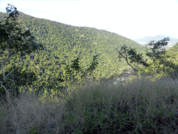 Hills with trees on the other side of the Barron Creek valley, viewed from the Kuranda Scenic Railway train near the Red Bluff rocks