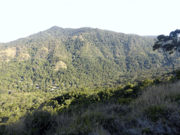 Hills with trees on the other side of the Barron Creek valley, viewed from the Kuranda Scenic Railway train near the Red Bluff rocks