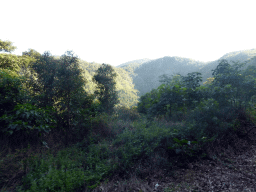 Hills with trees on the other side of the Barron Creek valley, viewed from the Kuranda Scenic Railway train near the Stoney Creek Falls