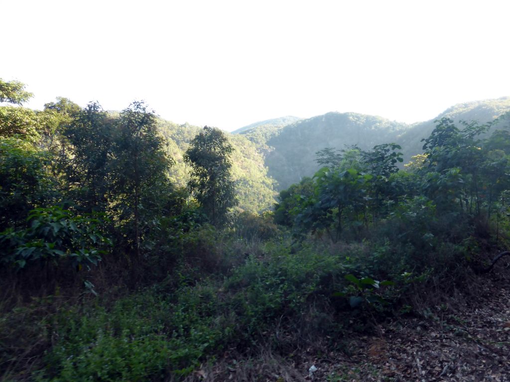 Hills with trees on the other side of the Barron Creek valley, viewed from the Kuranda Scenic Railway train near the Stoney Creek Falls