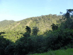 Hills with trees on the other side of the Barron Creek valley, viewed from the Kuranda Scenic Railway train near the Stoney Creek Falls
