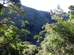 Hills with trees on the other side of the Barron Creek valley, viewed from the Kuranda Scenic Railway train near the Stoney Creek Falls