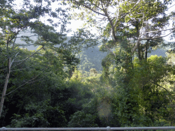 Hills with trees on the other side of the Barron Creek valley, viewed from the Kuranda Scenic Railway train near the North Peak