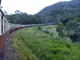 The Kuranda Scenic Railway train at the Horseshoe Bend