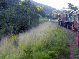 The Kuranda Scenic Railway train at the Horseshoe Bend