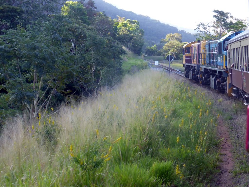 The Kuranda Scenic Railway train at the Horseshoe Bend