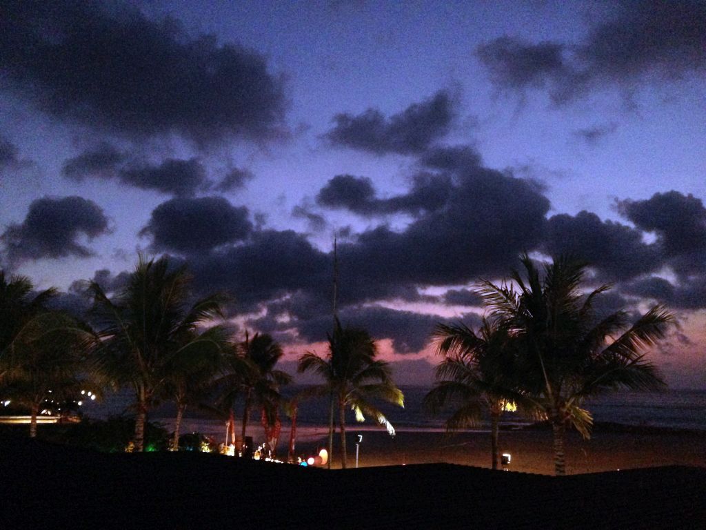 Palm trees at the Pantai Kuta beach, by night