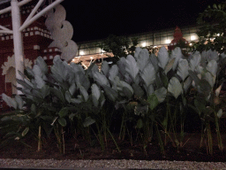 Plants in the main hall of the Ngurah Rai International Airport, by night