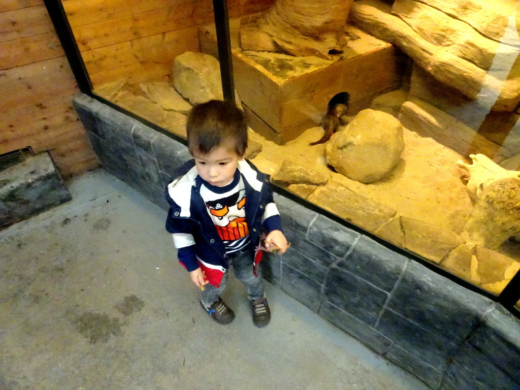 Max at the Tropical Zoo at the Berkenhof Tropical Zoo