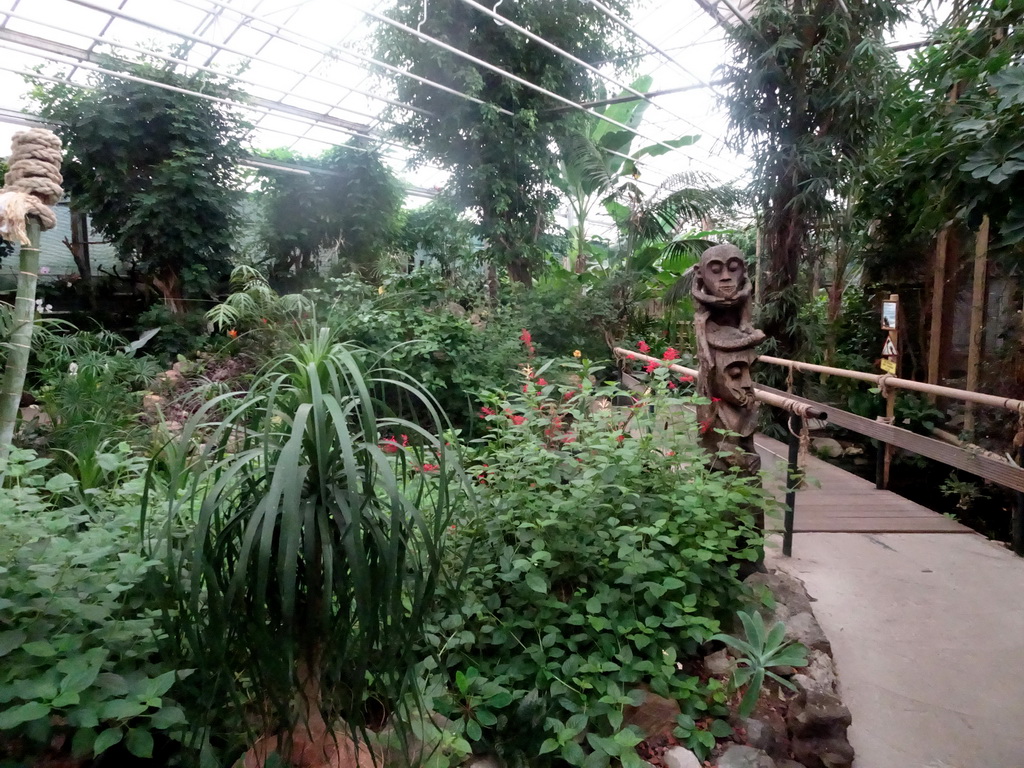 Interior of the Tropical Zoo at the Berkenhof Tropical Zoo