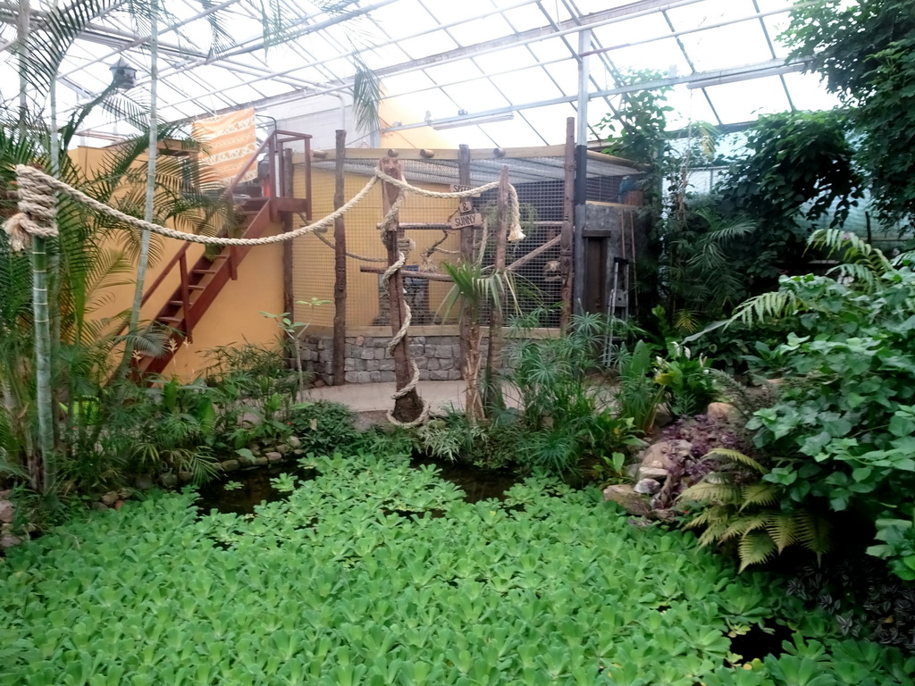 Pond at the Tropical Zoo at the Berkenhof Tropical Zoo