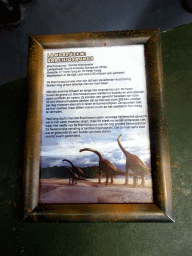 Explanation on the Brachiosaurus at the Dino Expo at the Berkenhof Tropical Zoo