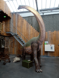 Brachiosaurus statue at the Dino Expo at the Berkenhof Tropical Zoo
