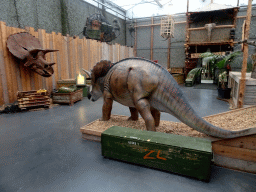 Triceratops skull and statue at the Dino Expo at the Berkenhof Tropical Zoo