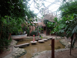 Interior of the Kids Jungle at the Berkenhof Tropical Zoo