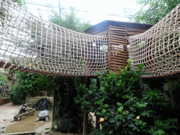 Walkway above the Kids Jungle at the Berkenhof Tropical Zoo