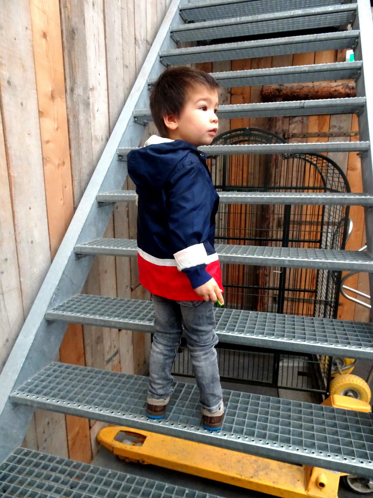 Max on the staircase from the Dino Expo to the Nature Classroom at the Berkenhof Tropical Zoo