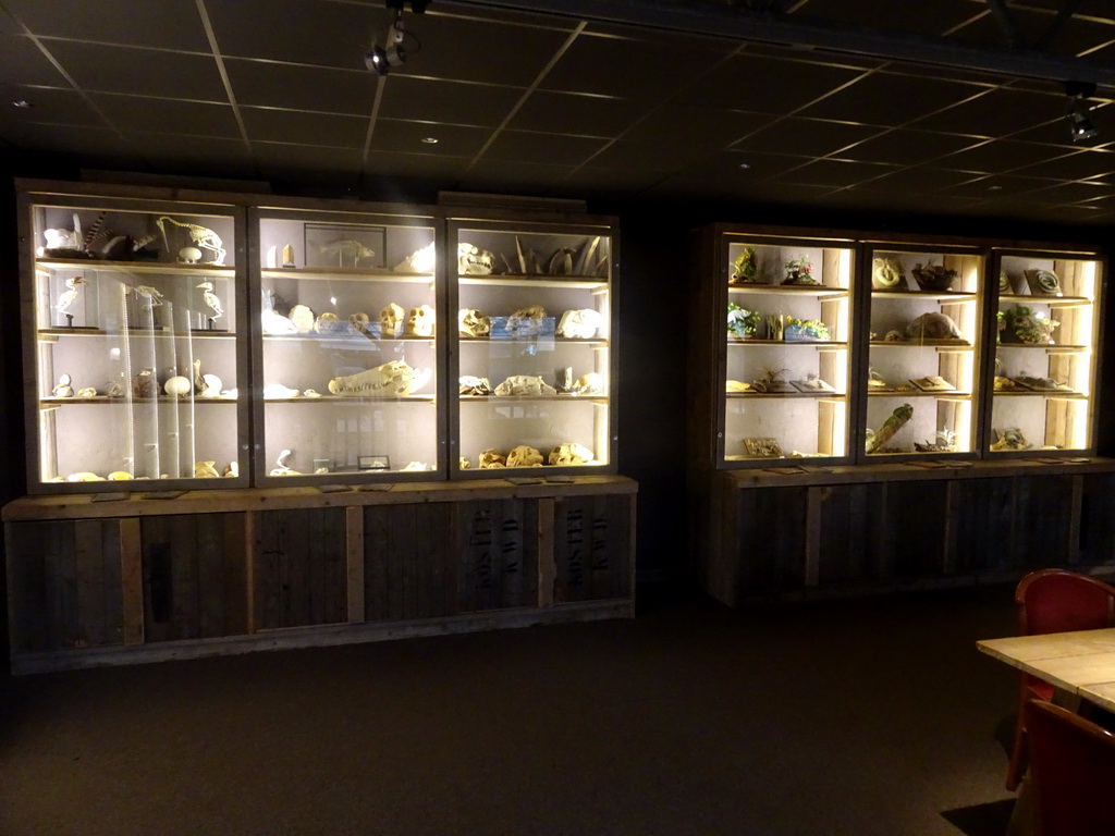 Interior of the Nature Classroom at the Berkenhof Tropical Zoo