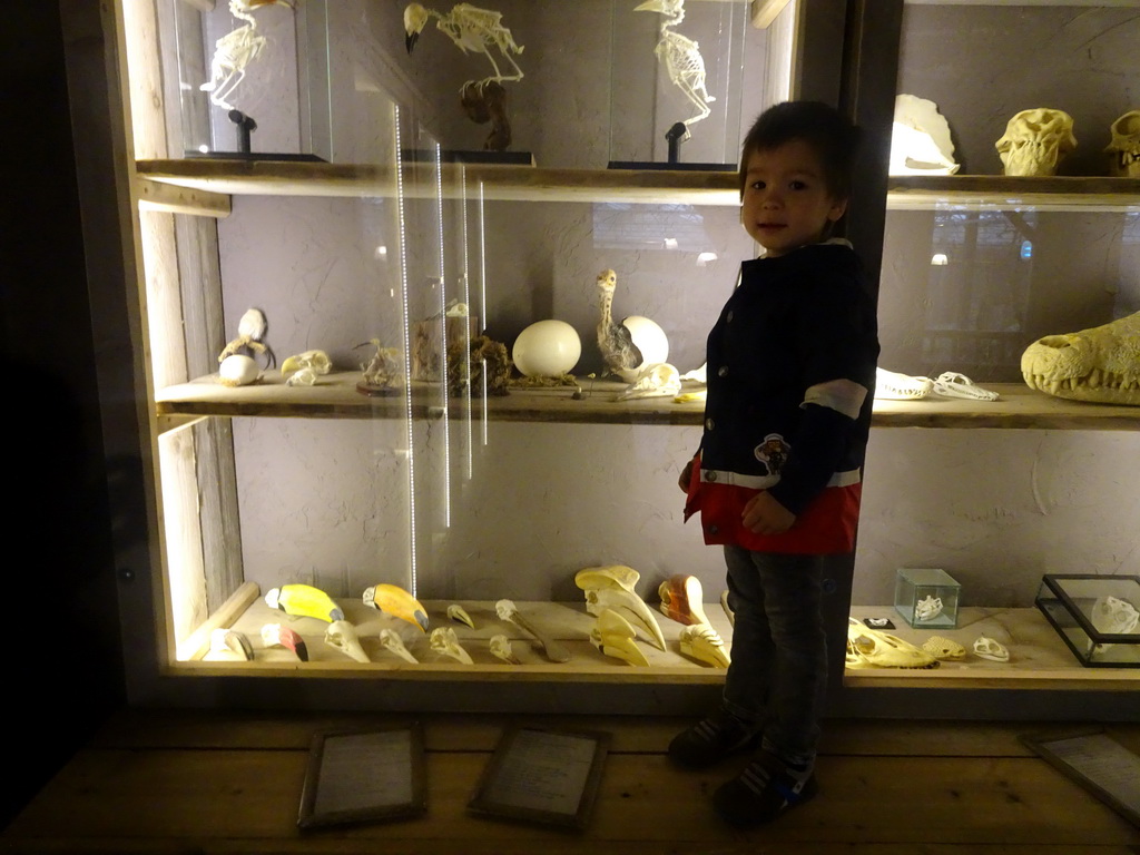 Max at the Nature Classroom at the Berkenhof Tropical Zoo