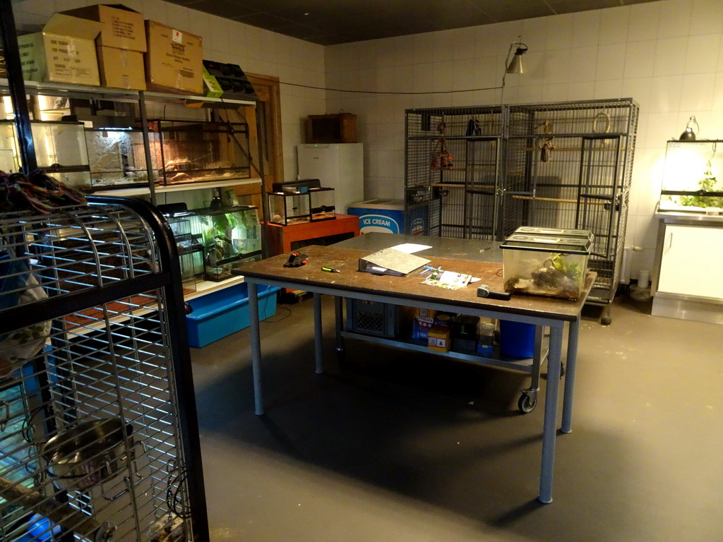 Interior of the workshop at the Nature Classroom at the Berkenhof Tropical Zoo