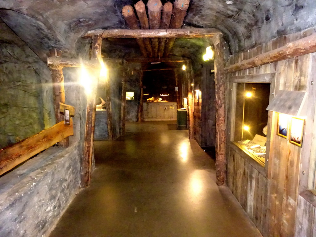 Interior of the Fossil Mine at the Berkenhof Tropical Zoo