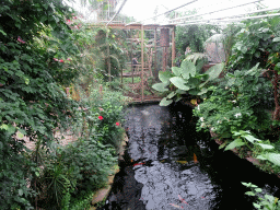 Interior of the Tropical Zoo at the Berkenhof Tropical Zoo, viewed from the Bird Platform
