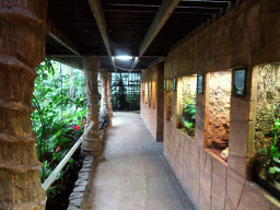 Hallway at the Tropical Zoo at the Berkenhof Tropical Zoo