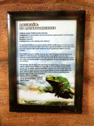 Explanation on the Bicoloured Tree Frog at the Tropical Zoo at the Berkenhof Tropical Zoo