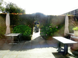 Terrace of the restaurant of the Berkenhof Tropical Zoo