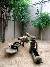 Playground at the Kids Jungle at the Berkenhof Tropical Zoo