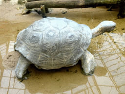 Turtle statue at the Kids Jungle at the Berkenhof Tropical Zoo