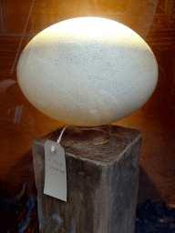 Egg of an Elephant Bird at the Dino Expo at the Berkenhof Tropical Zoo, with explanation