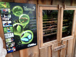 Pupae and information on Butterflies at the Tropical Zoo at the Berkenhof Tropical Zoo