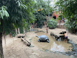 Interior of the Kids Jungle at the Berkenhof Tropical Zoo