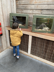 Max with a Dinosaurs skull and claws at the Dino Expo at the Berkenhof Tropical Zoo