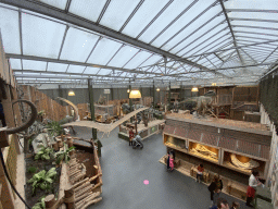 Interior of the Dino Expo at the Berkenhof Tropical Zoo, viewed from the staircase to the Nature Classroom