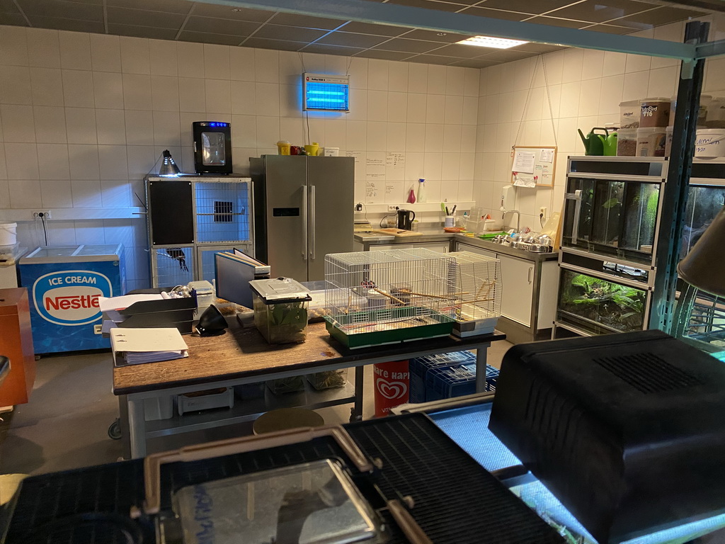 Interior of the workshop at the Nature Classroom at the Berkenhof Tropical Zoo