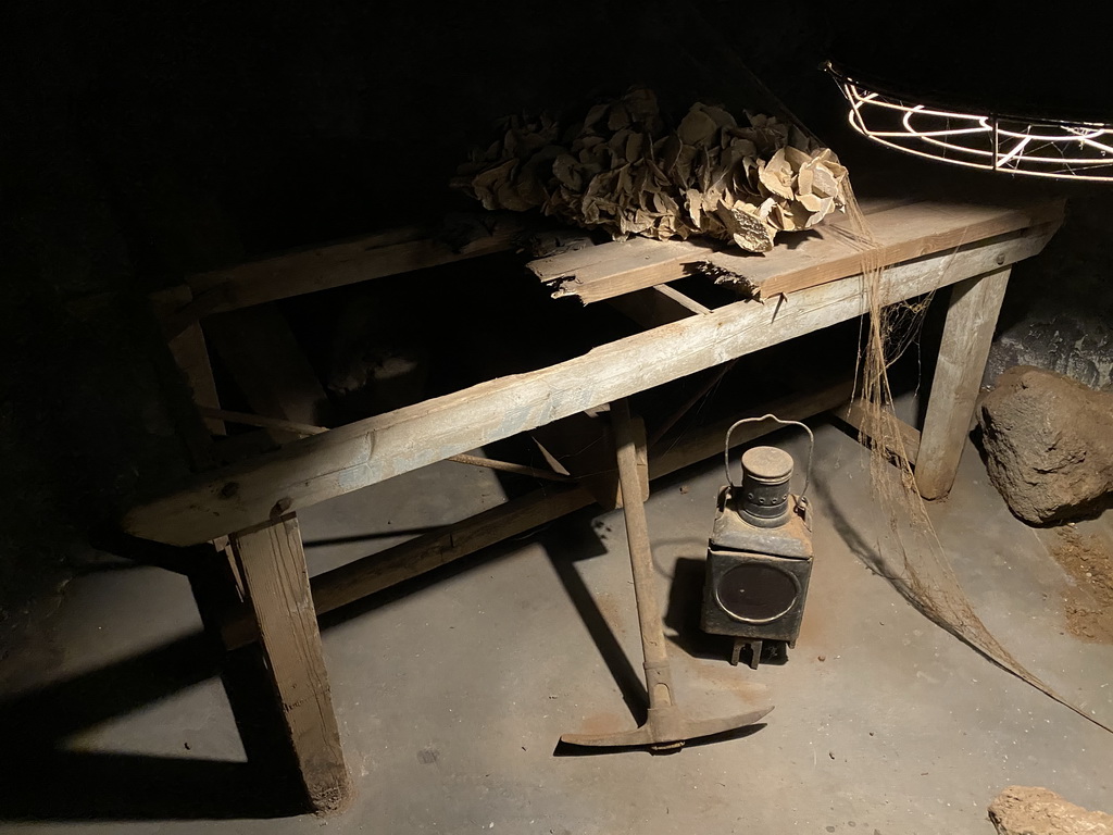 The Big Hairy Armadillo enclosure at the Fossil Mine at the Berkenhof Tropical Zoo