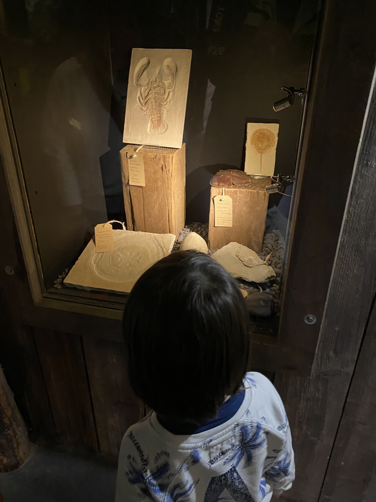 Max with fossilized shellfishes at the Fossil Mine at the Berkenhof Tropical Zoo, with explanation