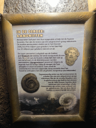 Information on Ammonites at the Fossil Mine at the Berkenhof Tropical Zoo