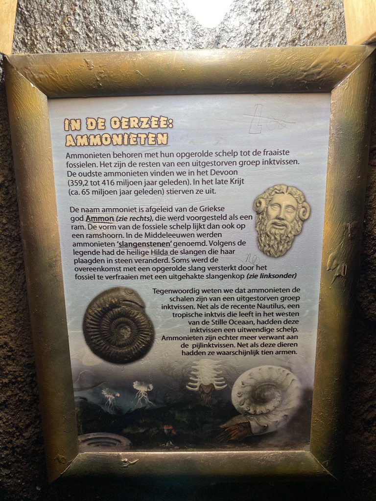 Information on Ammonites at the Fossil Mine at the Berkenhof Tropical Zoo