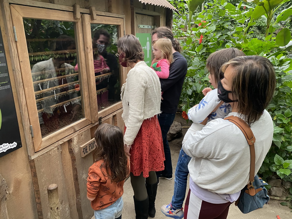 Miaomiao and Max with pupae and Butterflies at the Tropical Zoo at the Berkenhof Tropical Zoo