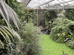 Interior of the Tropical Zoo at the Berkenhof Tropical Zoo, viewed from the Bird Platform