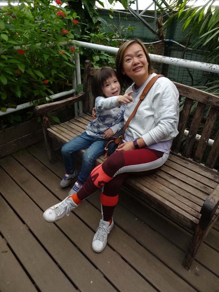 Miaomiao and Max at the Bird Platform at the Tropical Zoo at the Berkenhof Tropical Zoo