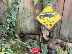 Cuvier`s Dwarf Caiman at the Tropical Zoo at the Berkenhof Tropical Zoo