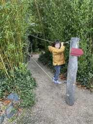 Max on a rope bridge at the Outdoor Playground at the Berkenhof Tropical Zoo